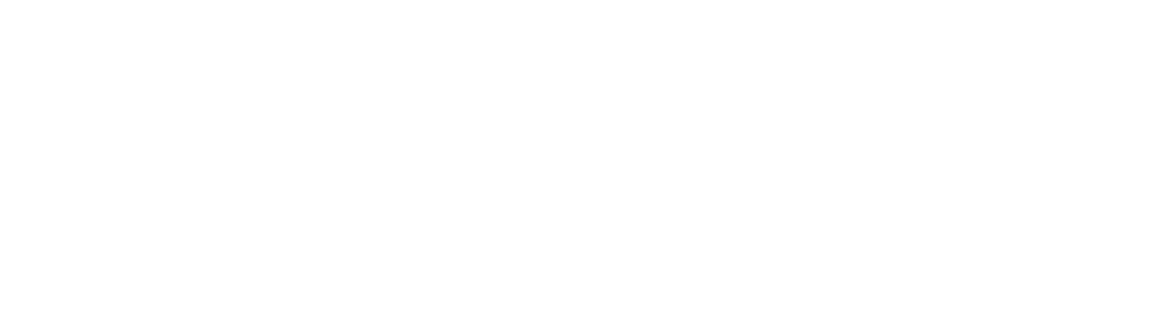 Expert Education & Visa services